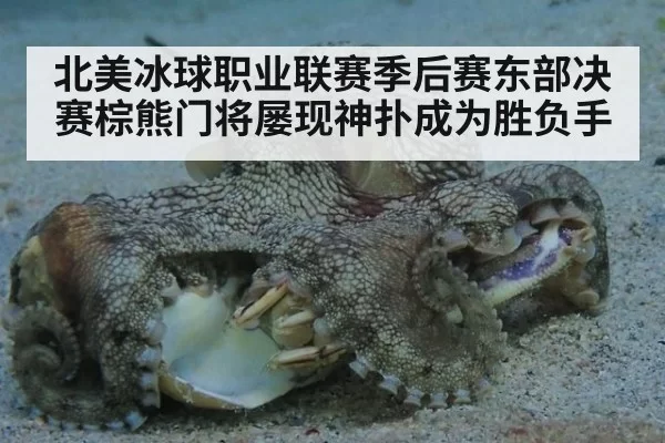 北美冰球职业联赛季后赛东部决赛棕熊门将屡现神扑成为胜负手
